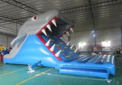 snappy shark 3(1)